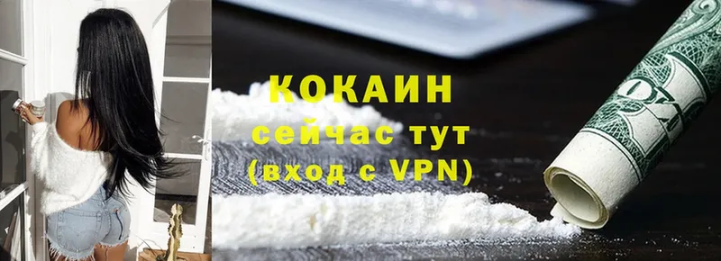 цены наркотик  Енисейск  blacksprut   Cocaine FishScale 