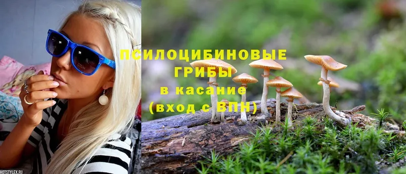 Псилоцибиновые грибы MAGIC MUSHROOMS  Енисейск 